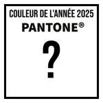 Couleur Pantone 2025 : nos prdictions en attendant la publication